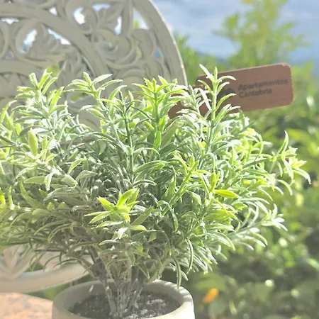 La Casa De Lidya - 36802 아파트