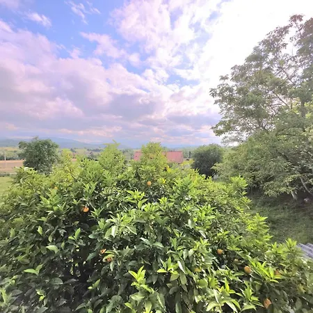 La Casa De Lidya - 36802 * Entrambasaguas (Entrambasaguas)